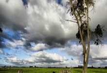 海星体育app-CBA季后赛倒计时；广州队赛前远射贴柱；细节引发关注；引发热议；训练强度明显提升的简单介绍-海星体育app